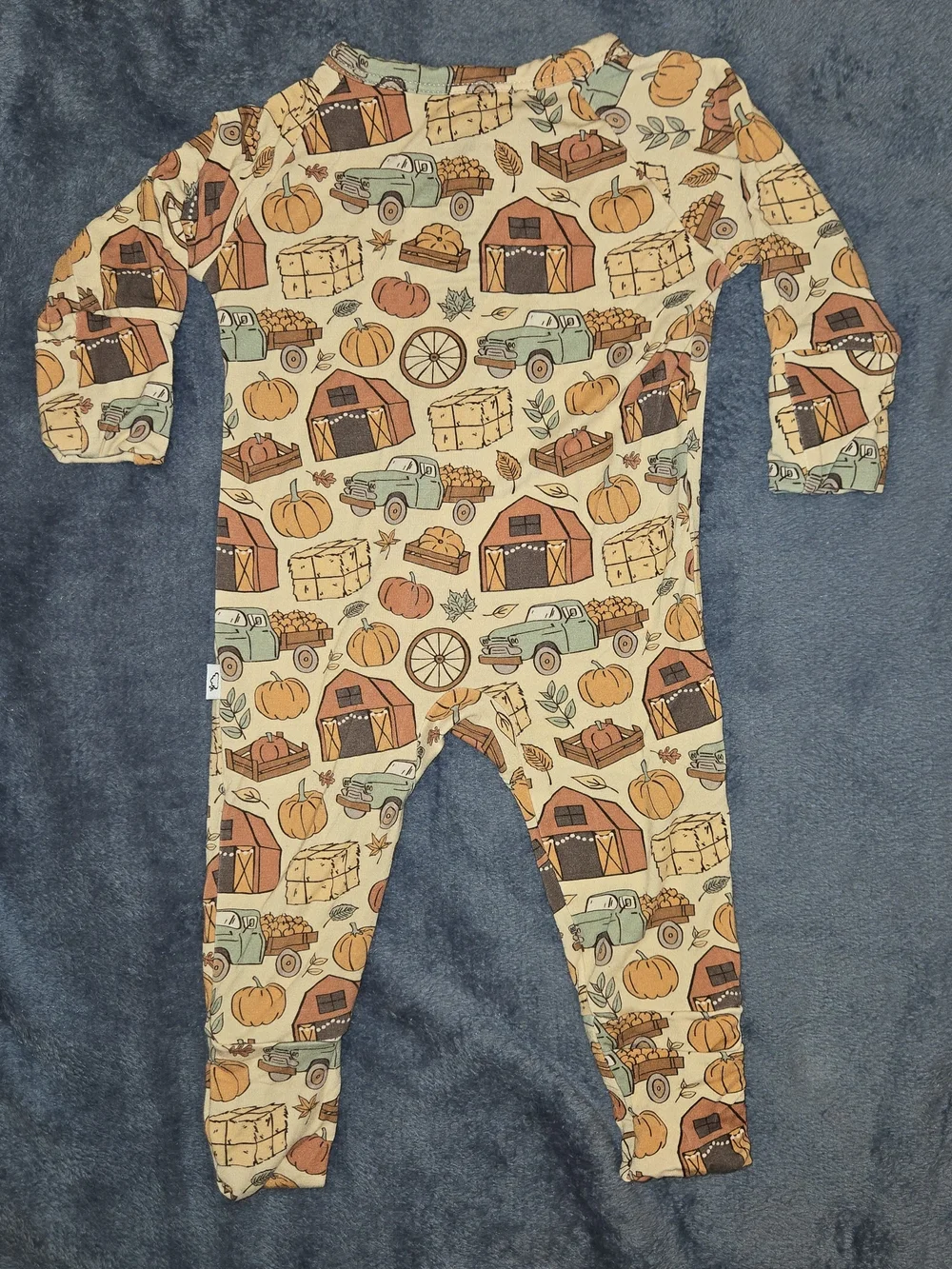 Dream Big Little Co. Havest Themed Bamboo Sleeper